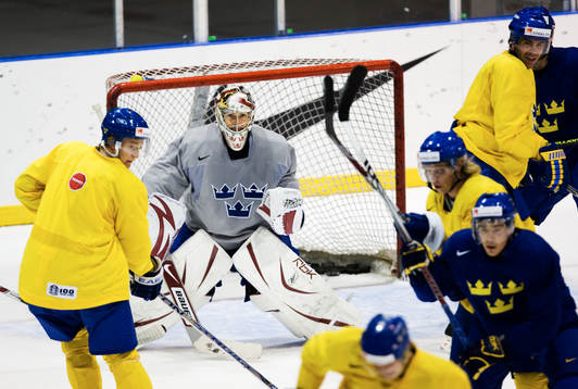 Mikael Tellqvist, målvakt