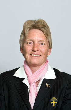 Fotboll, SvFF, Svenska Fotbollförbundet, Styrelse,