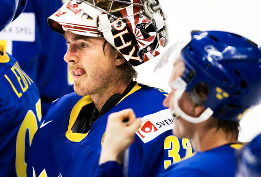 Mikael Tellqvist, målvakt