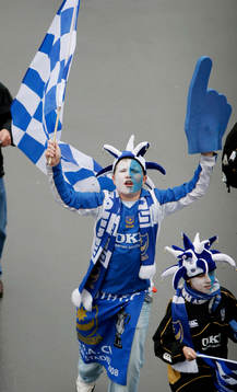 Fan, supporter
