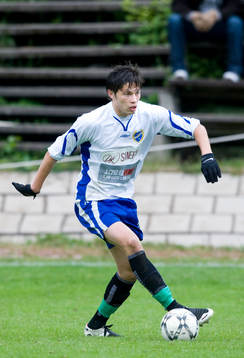 Isak Dahlin, Gröndal
