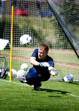 Johan Dahlin, målvakt