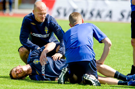 Markus Rosenberg grinar illa Fredrik Ljungberg är