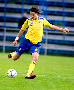 Mikael Lustig, Sverige