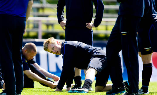 Sebastian Larsson