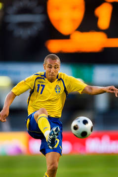 Henrik Larsson, Sverige