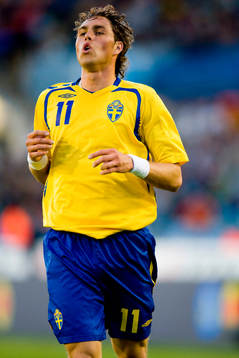 Johan Elmander, Sverige