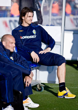 Zlatan Ibrahimovic, Fredrik Ljungberg, Sverige, på bänken