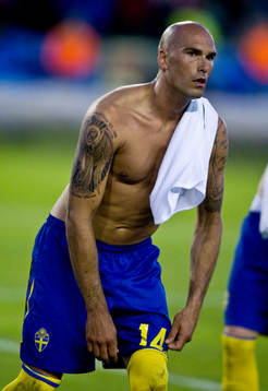 Daniel Majstorovic, Sverige