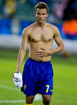 Niclas Alexandersson, Sverige