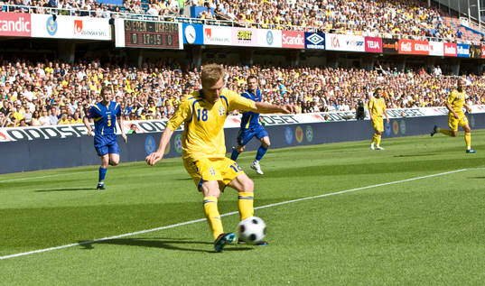 Sebastian Larsson, Sverige