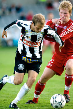 Mikael Dahlgren, Bois