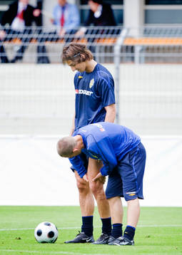 Zlatan Ibrahimovic har ont i sitt knä