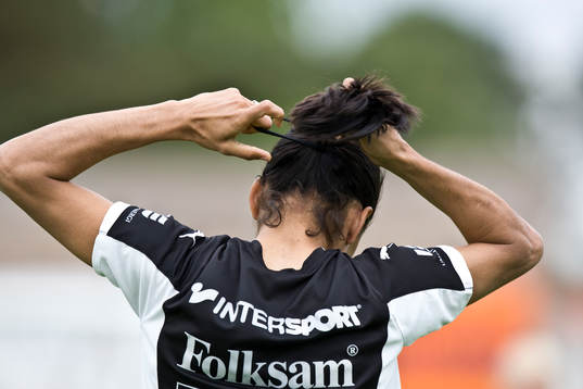 Genre, hår, tofs, hästsvans