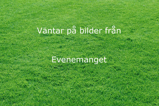 Fotboll, EM, Holland v Frankrike