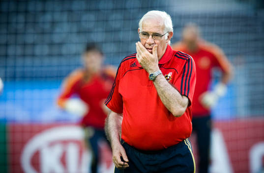 Luis Aragonés, Förbundskapten