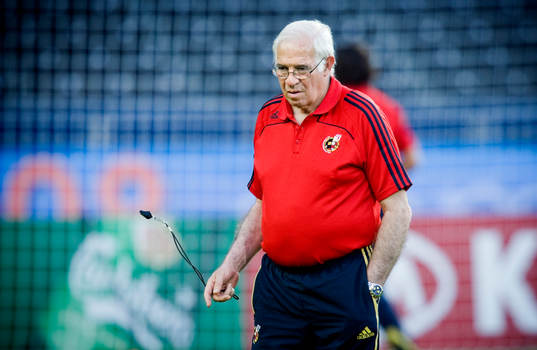 Luis Aragonés, Förbundskapten