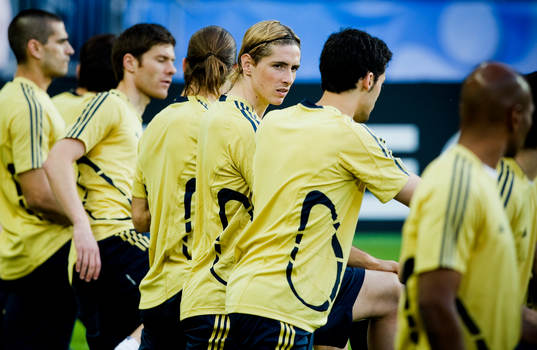 Fernando Torres