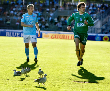 Fågel, Joakim Nilsson, Malmö och Aleksandar Kitic,