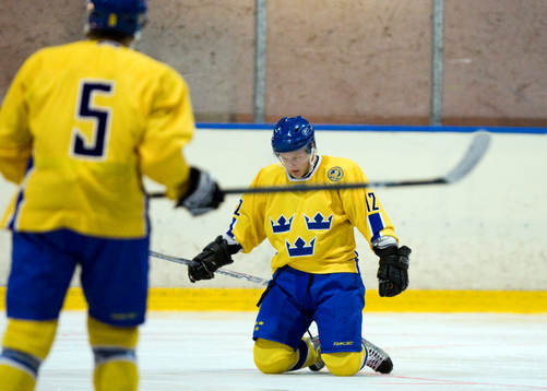 Oscar Möller, Sverige