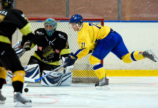 Fredrik Holmgren, målvakt, AIK och Niklas Lasu, Sverige