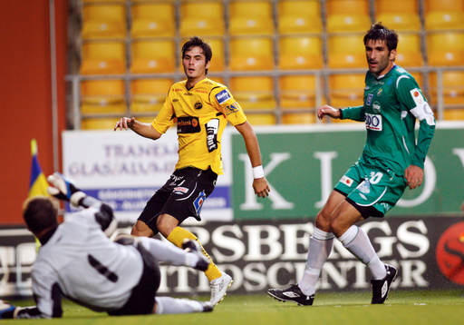 Denni Avdic, Elfsborg och Damir Vitas