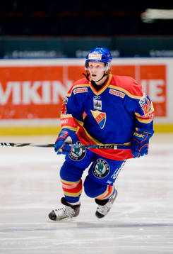 Niklas Andersson, Djurgården