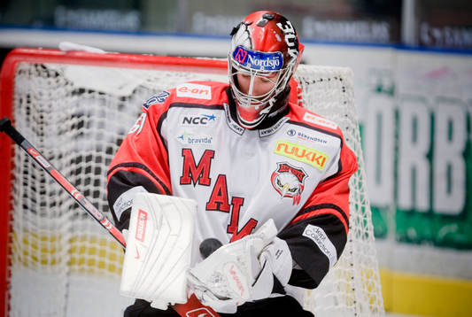 Henrik Karlsson, Målvakt Malmö