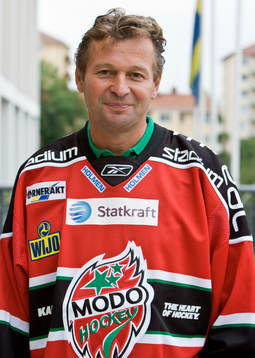 Harri Rindell, Tränare Modo Hockey
