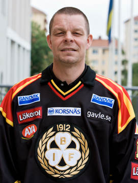 Niklas Czarnecki, Brynäs