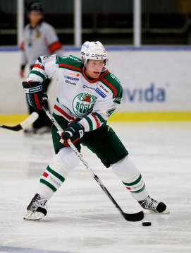 Ishockey, Elitserien, träningsmatch Rögle  - Redbull