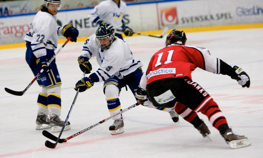 Mattias Tedenby, HV71