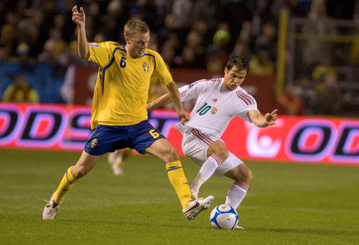 Sebastian Larsson, Sverige och Tamás Hajnal, Ungern