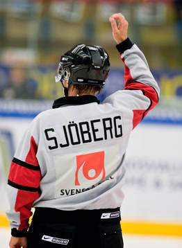 Patrik Sjöberg, Domare