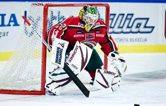 Johan Holmqvist, målvakt