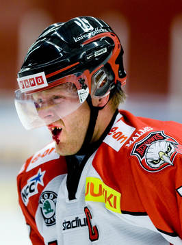Det gör ont att spela hockey, Jesper Damgaard i Malmö