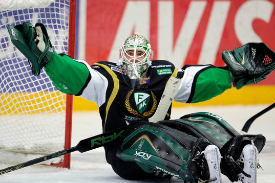 Jonas Gustavsson Färjestad (Målvakt)