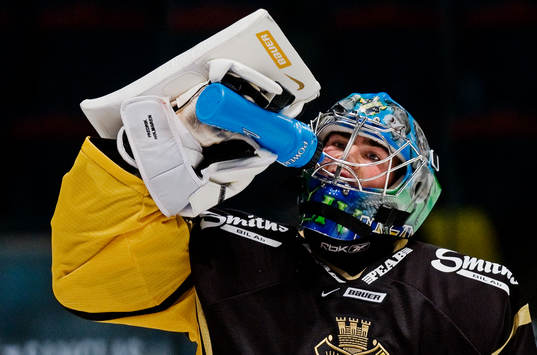 Fredrik Holmgren, målvakt