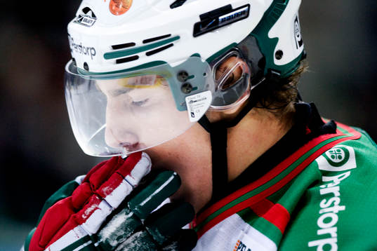 Mattias Sjögren,  Rögle