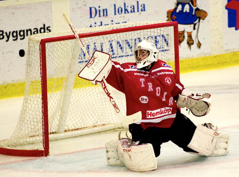 Petter Sandström, målvakt