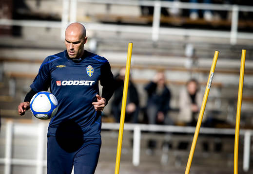 Daniel Majstorovic