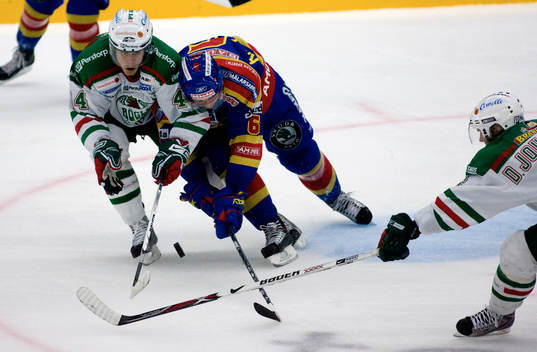 Christofer Löfberg, Rögle och Ronnie Pettersson,