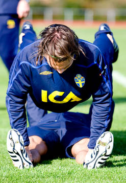 Albin Ekdal, Sverige, gör armhävningar