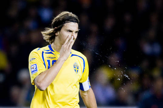 Zlatan Ibrahimovic, Sverige