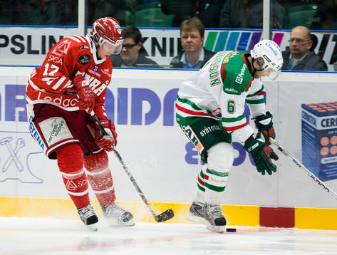 Johan Andersson, Timrå och Daniel Johansson, Rögle