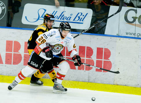 Mats Lavander, Luleå och Brad Moran, Skellefteå