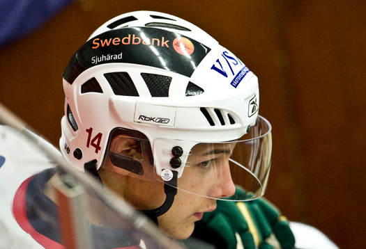 Bläddra bland fler bilder av Ishockey, Allsvenskan, Huddinge - Borås