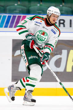 Johannes Salmonsson