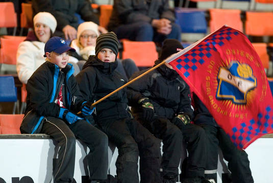 supporter, åskådare