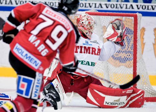 Fredrik Warg, Modo och Johan Backlund, Målvakt, Timrå